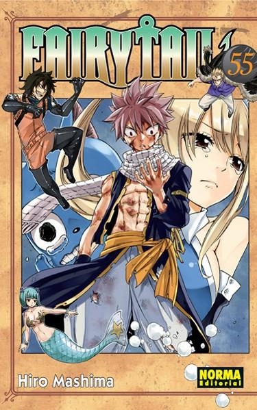 FAIRY TAIL # 55 | 9788467925616 | HIRO MASHIMA