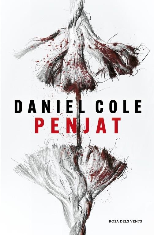 PENJAT | 9788417627119 | COLE, DANIEL | Universal Cómics