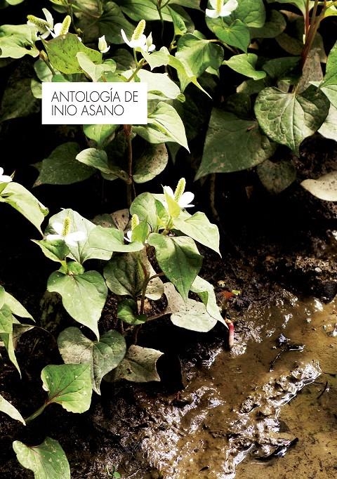 ANTOLOGÍA INIO ASANO | 9788467942552 | INIO ASANO