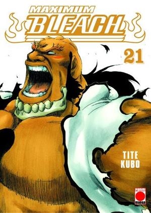 BLEACH MAXIMUM # 21 | 9788411013116 | TITE KUBO | Universal Cómics