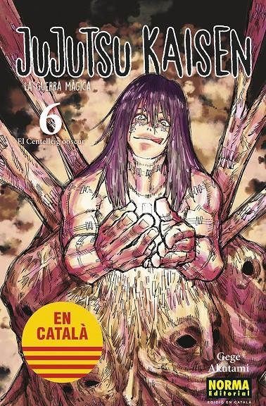 JUJUTSU KAISEN EDICIÓ EN CATALÀ # 06 | 9788467957600 | GEGE AKUTAMI | Universal Cómics