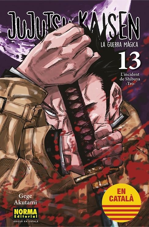 JUJUTSU KAISEN EDICIÓ EN CATALÀ # 13 | 9788467957679 | GEGE AKUTAMI | Universal Cómics