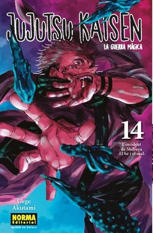 JUJUTSU KAISEN EDICIÓ EN CATALÀ # 14 | 9788467957686 | GEGE AKUTAMI | Universal Cómics
