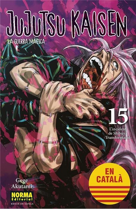 JUJUTSU KAISEN EDICIÓ EN CATALÀ # 15 | 9788467957693 | GEGE AKUTAMI