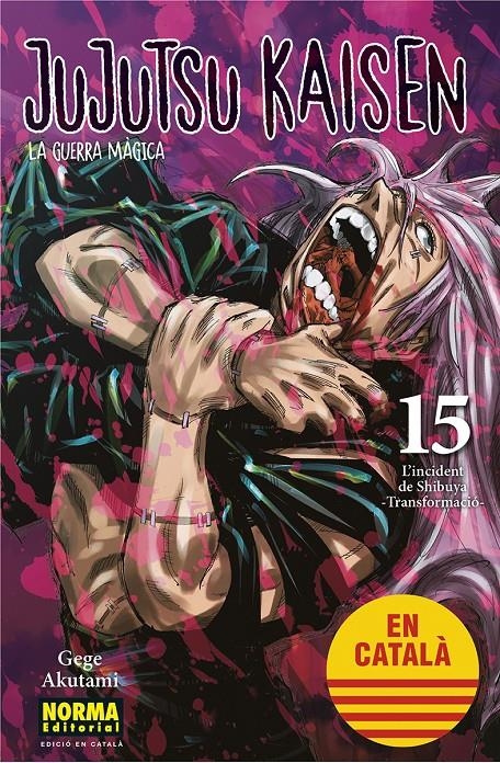 JUJUTSU KAISEN EDICIÓ EN CATALÀ # 15 | 9788467957693 | GEGE AKUTAMI | Universal Cómics