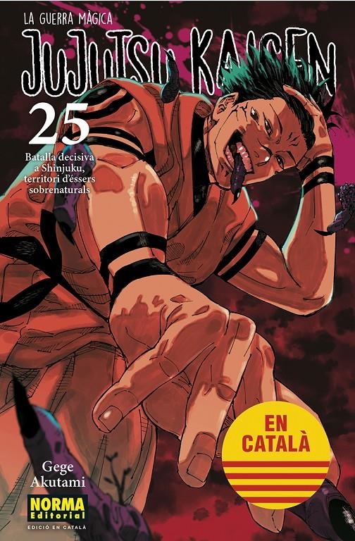 JUJUTSU KAISEN EDICIÓ EN CATALÀ # 25 | 9788467969979 | GEGE AKUTAMI