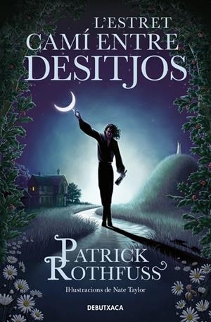 L'ESTRET CAMÍ ENTRE DESITJOS | 9788419394682 | PATRICK ROTHFUSS