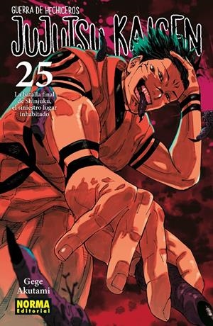 2AMA JUJUTSU KAISEN # 25 | 9999900123319 | GEGE AKUTAMI