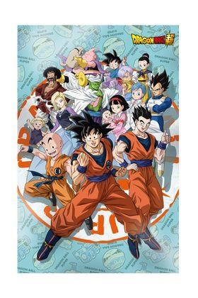 POSTER 3D 58X38CM UNIVERSE SURVIVAL DRAGON BALL SUPER | 8435450256479 | Universal Cómics