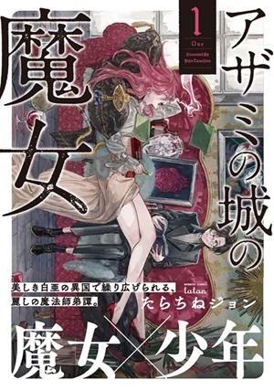 LA BRUIXA DEL CASTELL DELS CARDS EDOICIÓ EN CATALÀ # 01 (PORTADA PROVISIONAL) | 9788412998993 | JOHN TARACHINE | Universal Cómics