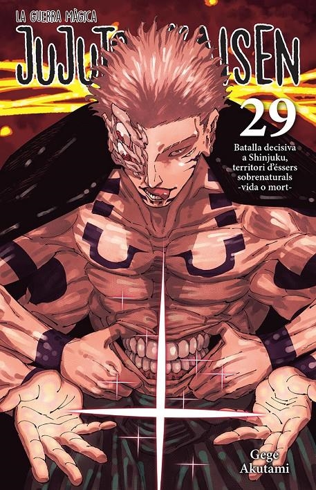JUJUTSU KAISEN # 29 EDICIÓ EN CATALÀ | 9788467976274 | GEGE AKUTAMI | Universal Cómics