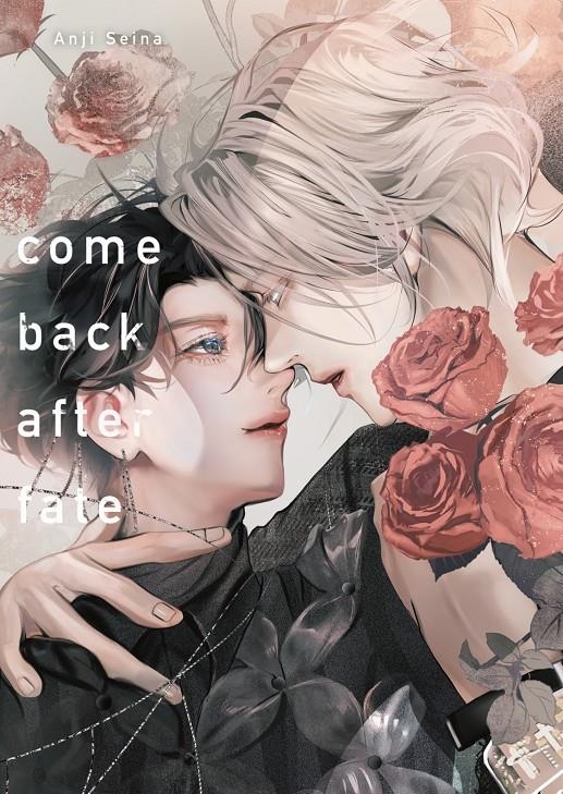 COMEBACK AFTER FATE | 9791387822149 | ANJI SEINA