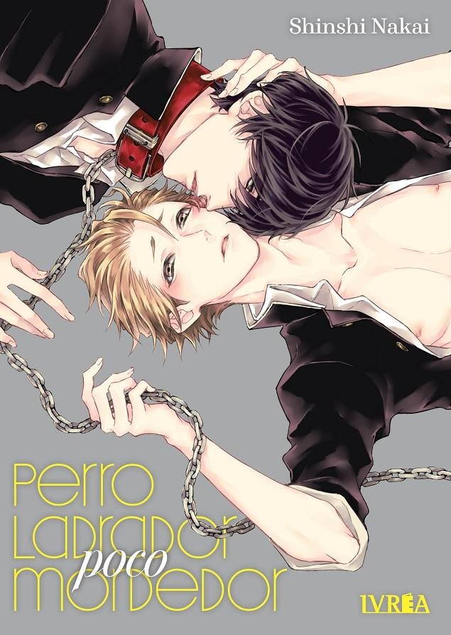 2AMA PERRO LADRADOR, POCO MORDEDOR 2ª EDICIÓN | 9999900130232 | SHINSHI NAKAI | Universal Cómics