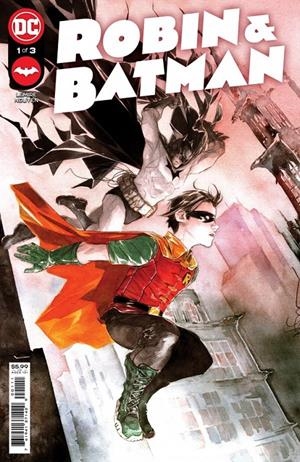 ROBIN Y BATMAN, JASON TODD (PORTADA PROVISIONAL) | 9791370584221 | JEFF LEMIRE - DUSTIN NGUYEN | Universal Cómics