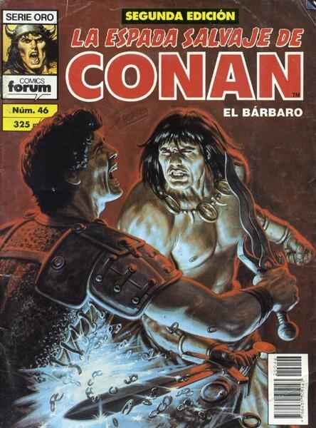 ESPADA SALVAJE DE CONAN VOLUMEN I 2ª ED # 046 | 978843950514320046 | ROY THOMAS -  MICHAEL FLEISHER - PABLO MARCOS | Universal Cómics