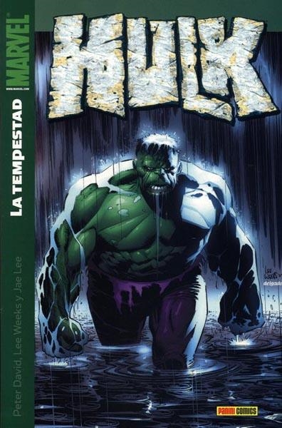 HULK # 06 LA TEMPESTAD | 9788496652248 | PETER DAVID  -  LEE WEEKS  -  JAE LEE | Universal Cómics