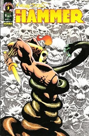 THE HAMMER # 01 | 9788479048112 | KELLEY JONES | Universal Cómics