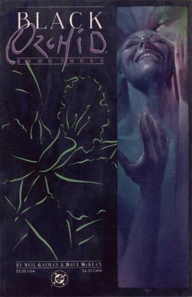 USA BLACK ORCHID # 03 | 119984 | NEIL GAIMAN - DAVE McKEAN | Universal Cómics