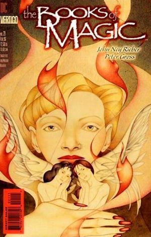 USA BOOKS OF MAGIC # 21 | 76194120130602111 | JOHN NEY RIEBER - PETER GROSS | Universal Cómics