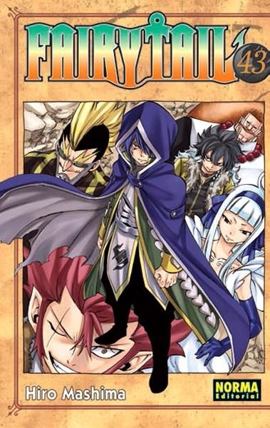 FAIRY TAIL # 43 | 9788467919691 | HIRO MASHIMA